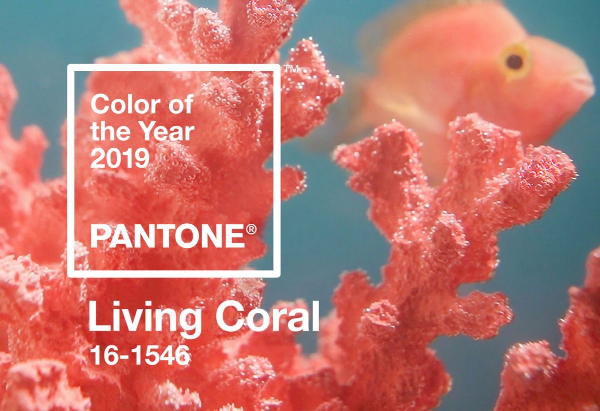 The 2019 Colour of the year